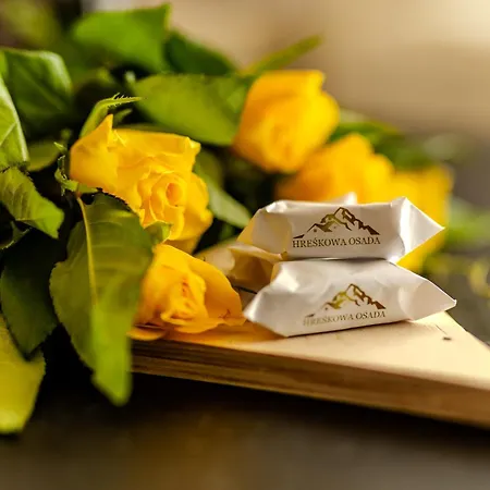 ヴィラ Hreskowa Osada - W Gorach *